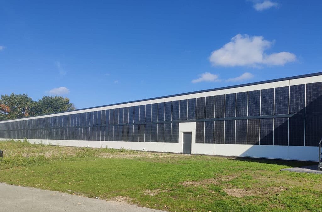 Fassade als Solarkraftwerk: Sonnenenergie an der Hallenwand